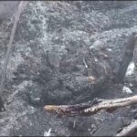 Temple Fire: Fire Rages at Giroudpuri Dham Early This Morning...! Everything—From Offerings to Clothing—Reduced to Ashes... Watch VIDEO Here