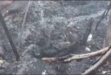 Temple Fire: Fire Rages at Giroudpuri Dham Early This Morning...! Everything—From Offerings to Clothing—Reduced to Ashes... Watch VIDEO Here