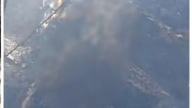 Short Circuit: Parked Car in Indore Erupts into a Ball of Fire...! Tragic Death of a 4-Year-Old Child... Watch VIDEO Here.