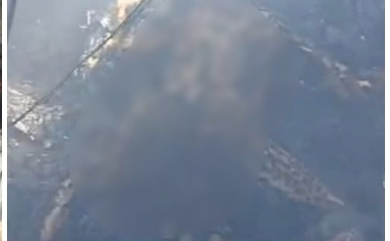 Short Circuit: Parked Car in Indore Erupts into a Ball of Fire...! Tragic Death of a 4-Year-Old Child... Watch VIDEO Here.