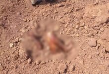 Murder Mystery: Raipur Breaking News...! Body found buried in the ground in Abhanpur... Hands and feet seen protruding... Panic grips the area.