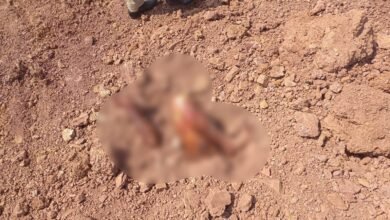 Murder Mystery: Raipur Breaking News...! Body found buried in the ground in Abhanpur... Hands and feet seen protruding... Panic grips the area.