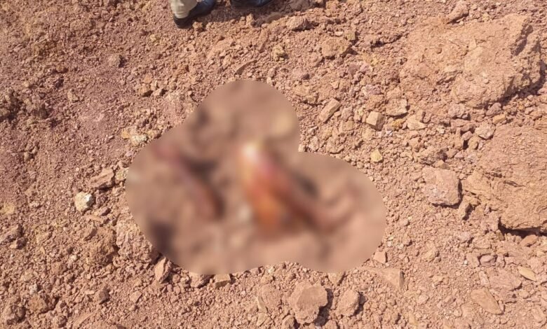 Murder Mystery: Raipur Breaking News...! Body found buried in the ground in Abhanpur... Hands and feet seen protruding... Panic grips the area.