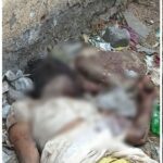 Murder Case: Sensation in the Capital...! Mutilated Body of a Woman Found in a Government School