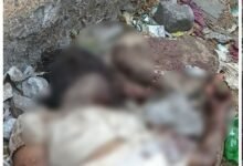 Murder Case: Sensation in the Capital...! Mutilated Body of a Woman Found in a Government School