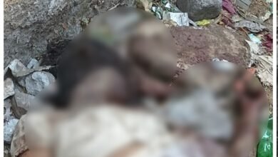 Murder Case: Sensation in the Capital...! Mutilated Body of a Woman Found in a Government School