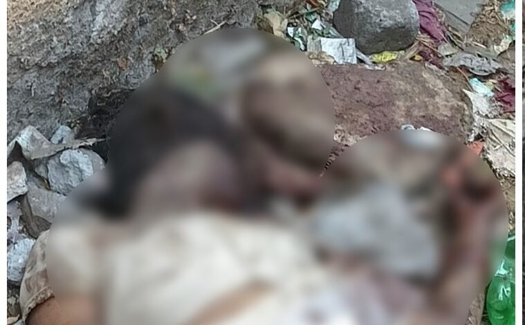 Murder Case: Sensation in the Capital...! Mutilated Body of a Woman Found in a Government School