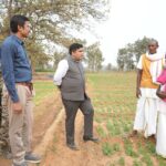 KORBA: Seeing the crops flourishing in the summer, the Collector went to the fields...interacted with the farmers.