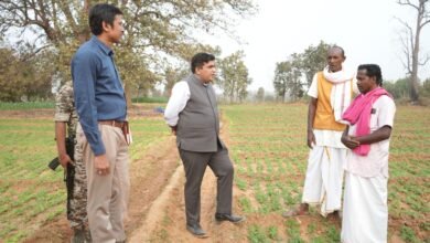KORBA: Seeing the crops flourishing in the summer, the Collector went to the fields...interacted with the farmers.