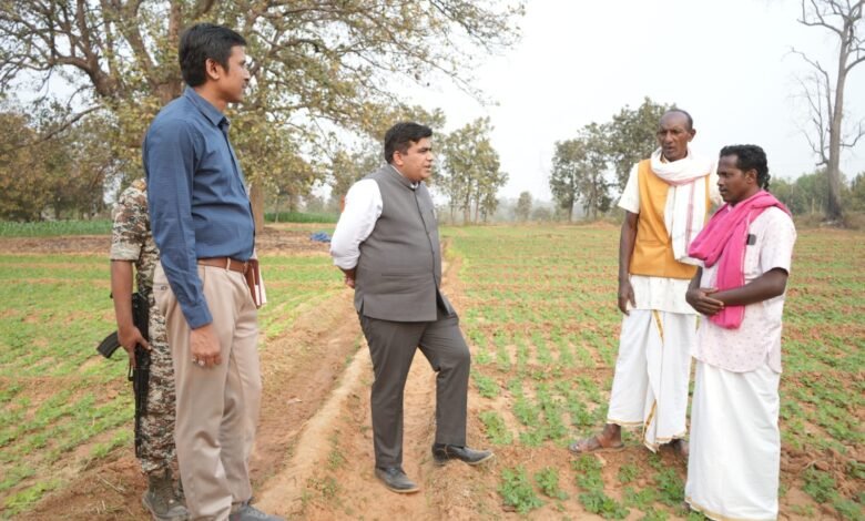 KORBA: Seeing the crops flourishing in the summer, the Collector went to the fields...interacted with the farmers.