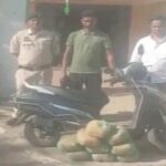 Ganja Smuggling: Police constable's name surfaces in marijuana smuggling case... Two accused arrested... constable absconding