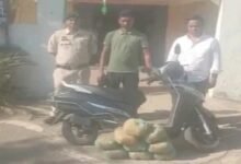 Ganja Smuggling: Police constable's name surfaces in marijuana smuggling case... Two accused arrested... constable absconding