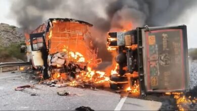 Bus Fire: Horrific Road Accident in Andhra Pradesh! Bus-Truck Collision... 10 Passengers Burn to Death... Watch VIDEO Here.