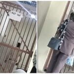 Central Jail: ‘VIP Treatment’ Exposed at Ambikapur Central Jail...! Prisoner Provided with Mobile Phone, Home-Cooked Food, Bottled Mineral Water—Plus Unrestricted Access for Family Members... Watch Video Here.