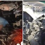 Road Accident: Horrific crash on the Bhopal-Berasia route... High-speed car collides with a straw-laden trolley... Tragic death of three brothers from the same family... Watch Video Here.