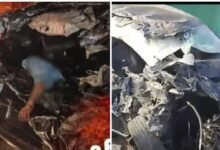 Road Accident: Horrific crash on the Bhopal-Berasia route... High-speed car collides with a straw-laden trolley... Tragic death of three brothers from the same family... Watch Video Here.
