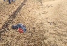 Death by Lightning: Lightning Strikes Turn Deadly! Woman Working in Field Killed... Watch VIDEO Here