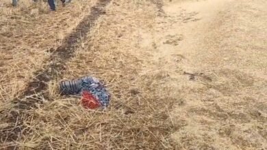 Death by Lightning: Lightning Strikes Turn Deadly! Woman Working in Field Killed... Watch VIDEO Here