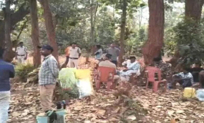 Illegal Farming: Opium cultivation uncovered on 5 acres in Balrampur...! Authorities confiscated the crop...watch the video here.