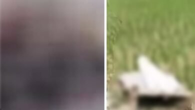 Family Murder: A son destroyed his family over a dispute regarding land and jewelry! Axe attacks were carried out on sleeping people, resulting in the tragic death of four.