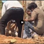 Kondagaon Murder: Tent Merchant Murder Case Solved! Lured Home Out of Greed for a Gold Ring... Killed with a Pestle... Body Transported on a Scooty and Buried.
