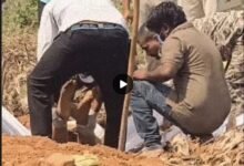 Kondagaon Murder: Tent Merchant Murder Case Solved! Lured Home Out of Greed for a Gold Ring... Killed with a Pestle... Body Transported on a Scooty and Buried.