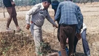 Child Murder: An Unspeakable Act of Brutality in Korba...! 7-Year-Old Innocent Child Murdered Following Sexual Assault.