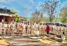 Forest Action: Major Operation by the Forest Department in Korba! 359 Logs Recovered in Satrenga—Simultaneous Raids Conducted on 6 Houses.