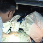 Drug Bust: Major Drug Racket Exposed in Kanker! Vehicle Flees Upon Spotting Roadblock, Crashes; Ganja Worth ₹35 Lakh Recovered from Car—Watch VIDEO Here.
