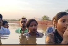 D.Ed Candidates: Aspirants wade into water up to their necks...! Standing in the water, they raise a cry for justice... Demanding recruitment for 2,300 posts... Watch VIDEO here.