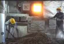 Ganja Destruction: Major Police Action in Mahasamund! Ganja Worth ₹5 Crore Incinerated... Panic Grips Drug Mafia... Watch VIDEO Here