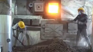 Ganja Destruction: Major Police Action in Mahasamund! Ganja Worth ₹5 Crore Incinerated... Panic Grips Drug Mafia... Watch VIDEO Here