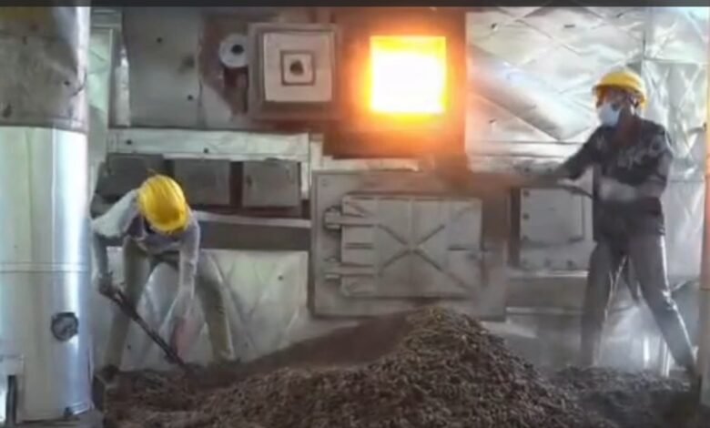 Ganja Destruction: Major Police Action in Mahasamund! Ganja Worth ₹5 Crore Incinerated... Panic Grips Drug Mafia... Watch VIDEO Here