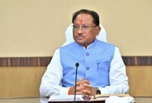 CM Sai Farmers' Aid: Good News for Farmers! Additional Assistance of ₹314 Crore Released... Check Your Account.