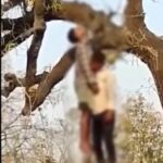 Double Death: Mysterious Deaths in Korba...! Bodies of Two Friends Found Hanging from the Same Tree... Panic Grips the Area... Police Launch Investigation.