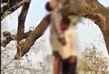 Double Death: Mysterious Deaths in Korba...! Bodies of Two Friends Found Hanging from the Same Tree... Panic Grips the Area... Police Launch Investigation.