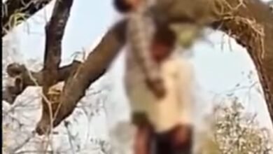 Double Death: Mysterious Deaths in Korba...! Bodies of Two Friends Found Hanging from the Same Tree... Panic Grips the Area... Police Launch Investigation.