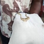 Health Alert: Uproar at Korba Chaupati! Frog Found in Ice Used for Juices—Video Goes Viral, Causing a Commotion.