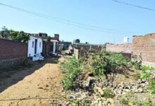 Patta Yojana 2026: A Major Decision by the Chhattisgarh Government! Occupants of Government Land to Receive Land Titles—See Here for the Required Documents.