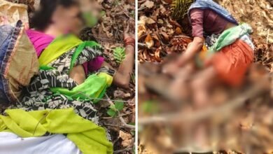 Tiger Attack: Women had gone to gather Tendu leaves...! A lurking tiger ambushed them... All met a gruesome death.