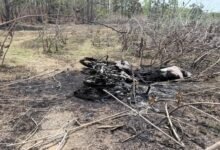 Youth Burnt: Tragic Accident in Gariaband! Biker comes into contact with dangling power line... burns to death.