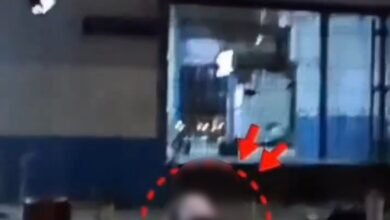Churchgate Viral Video: Young Man's Shameful Act Outside Station Caught on Camera...! Public Outrage Erupts After Watching the Video—Watch Here.
