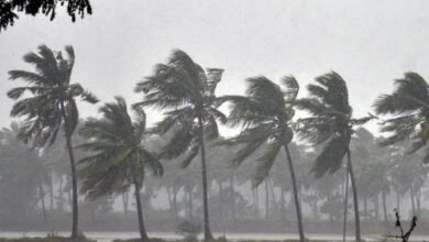 IMD Monsoon Forecast 2026: Monsoon to Arrive in India Ahead of Schedule! Expected to Reach the Andamans by May 15.