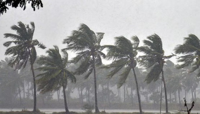 IMD Monsoon Forecast 2026: Monsoon to Arrive in India Ahead of Schedule! Expected to Reach the Andamans by May 15.