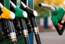 Petrol-Diesel Price Shock: Government Cuts Export Duty... Yet Petrol and Diesel Won't Get Cheaper! Find Out the Major Reason