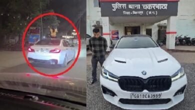 Sunroof Stunt Viral Video: Stunt Performed Through BMW's Sunroof Backfires...! Major Police Action Follows Viral Video—Car Seized—Watch VIDEO Here