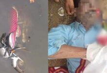 Dead Body Found: Body Discovered Under Suspicious Circumstances in Abhanpur! Man Found—Along with His Motorcycle—in a Drain Near a Liquor Shop... Accident or Murder? Police Launch Investigation.