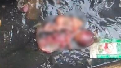 Newborn's Body Found: A Heart-Wrenching Incident in Raipur...! Body of a Newborn Discovered in a Drain... Sparks Outrage in the Area.