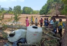 Tragic Accident: Violent Storm Proves Fatal in Korba! Three Youths Meet a Tragic End After a Tree Branch Falls; Collector Directs Provision of Relief Assistance.