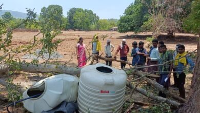 Tragic Accident: Violent Storm Proves Fatal in Korba! Three Youths Meet a Tragic End After a Tree Branch Falls; Collector Directs Provision of Relief Assistance.